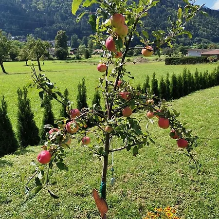 Appartamento - 2 Am Ossiachersee *