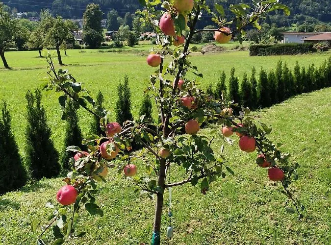 Daire - 2 Am Ossiachersee *